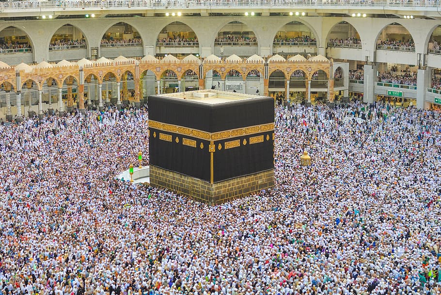 AL - HAMZA TRAVELS